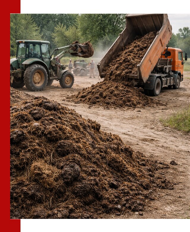 Доставка навоза самосвалами в Канске для сельхозпотребностей